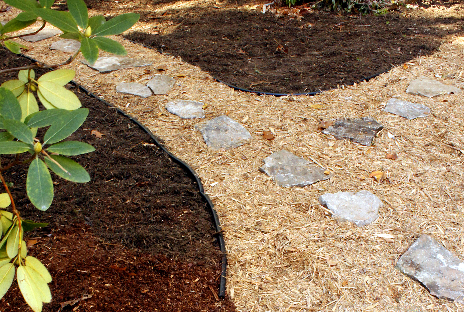 A bed of light and dark mulch with a stone path through it