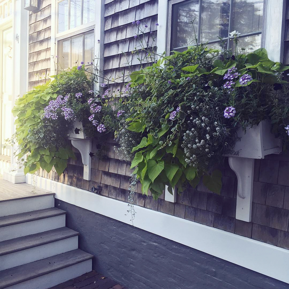 Front yard window boxes