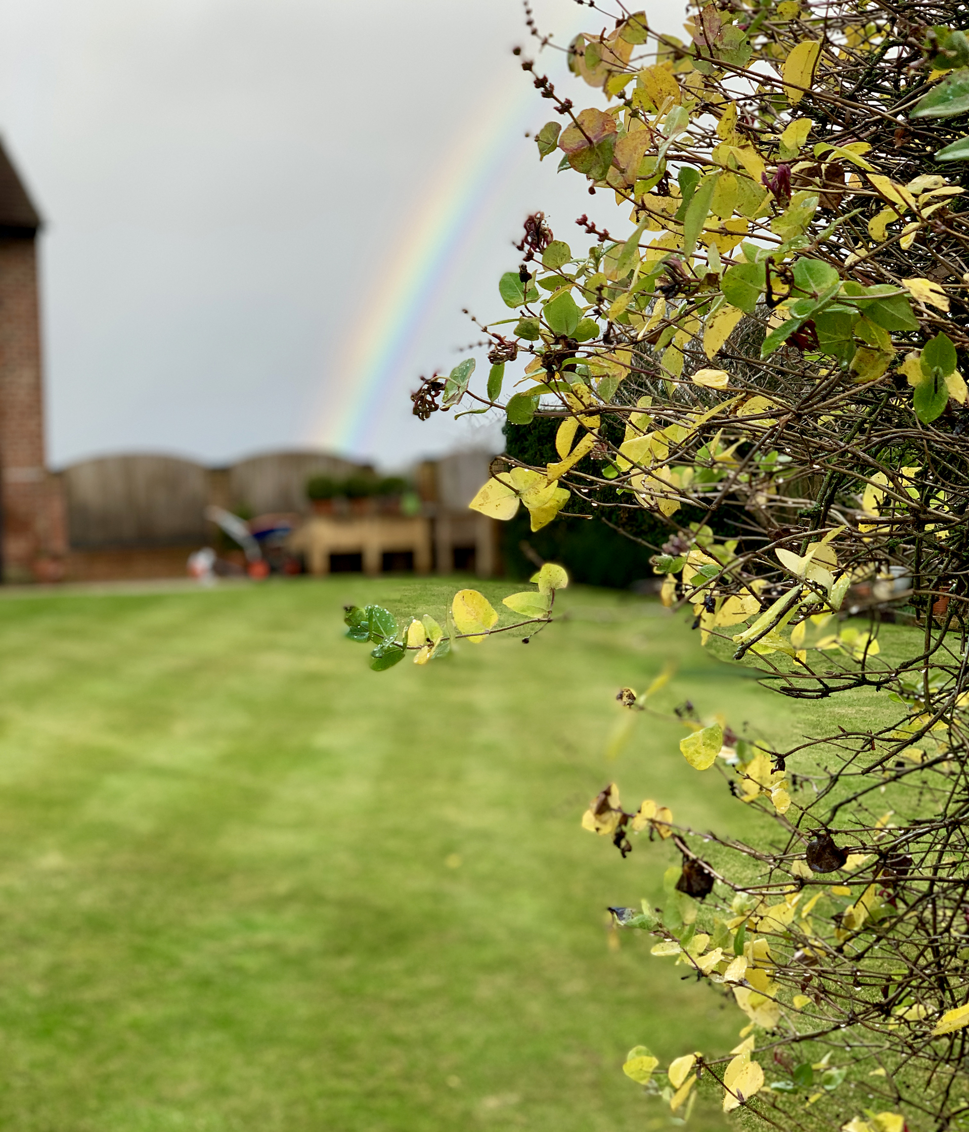 Lush, green lawn with home and rainbow in the distance