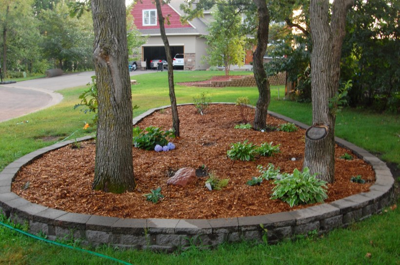 A raised mulched bed in grass