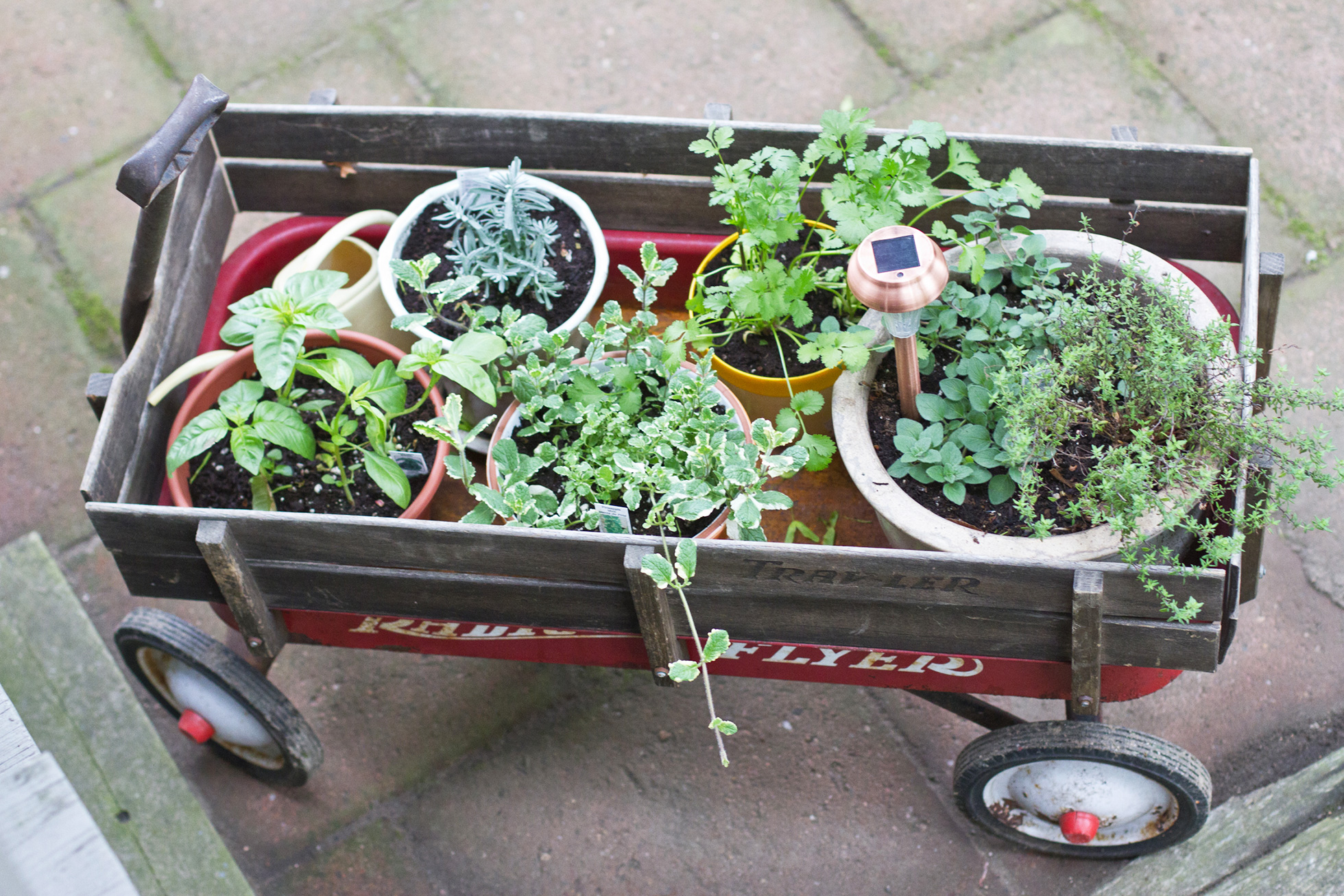 A red wagon filled with herbs